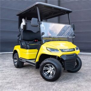 LV Tong AT-A827.2 - 2 Seat Electric Golf Cart